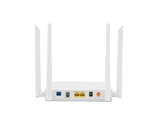 Dual Band ONT